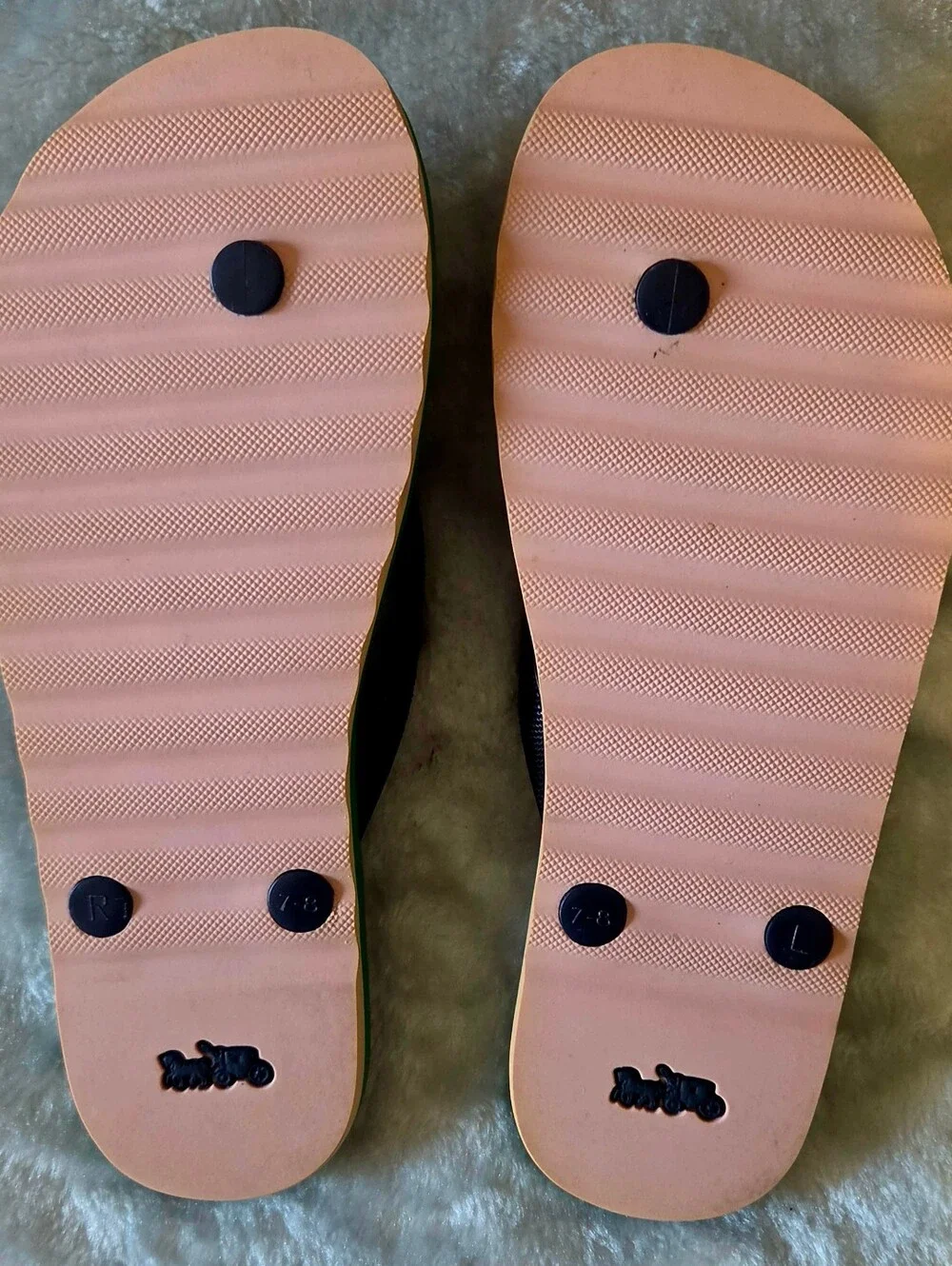 COACH Black Flip Flops with Watermelon Print